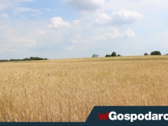 Otrzymaj przelew nawet 120 000 zł. „Rozwój małych gospodarstw”