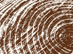 Drewno przestało drożeć, a firmom wiedzie się lepiej - twierdzi resort klimatu. Branża łapie się za głowę i wieszczy armagedon