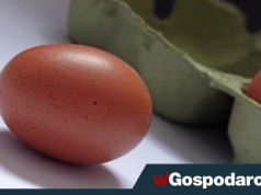 Jajko znowu droższe o 60 proc.! Dlatego jaj brakuje