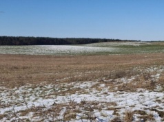 Pierwsze mrozy coraz później. W Polsce to realny problem