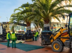Palmy zostały zabrane z rynku. Pojechały do oczyszczalni ścieków