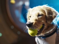 Sora od OpenAI wkracza na Androida. TikTok z AI dostępny dla kolejnych osób