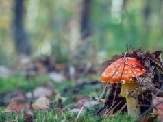 Niebezpieczna moda. Dziesiątki osób w szpitalu w Łodzi