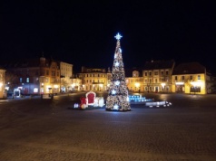 Gniezno z żywą choinką na Rynku! Po latach miasto wreszcie wsłuchało się w głos mieszkańców
