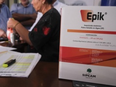 Teneryfa walczy z filokserą – bezpłatne leczenie winnic