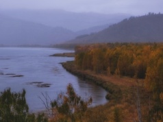 Naukowcy są zaniepokojeni. 