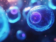 Śmierć komórki, czyli jak nasze ciało uczy się umierać i odnawiać