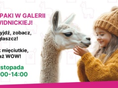 Alpaki zawitają do Galerii Świdnickiej