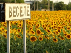 Gleby Ukrainy są w fatalnym stanie. To zła wiadomość dla całego świata