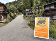 Japonia szykuje armię. Będą walczyć z potężnym problemem