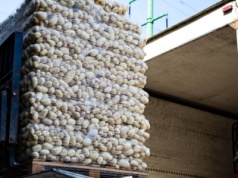 30 groszy u rolnika, 10 zł w sklepie. Polityk koalicji rządzącej chce ujawnienia marż pośredników