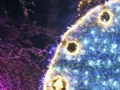 Alicja i biały królik biegają po Ogrodzie Botanicznym