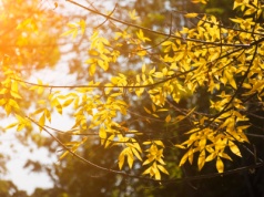 Pogoda na piątek. Dużo słońca na koniec tygodnia