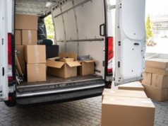 Wysłała ptaka pocztą. Nie przeżył. Prokuratura chce kary dla 49-latki