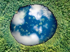 Biznes pod ekologiczną presją. Masa przepisów i wysokie koszty