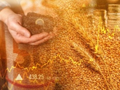 Matif: Grudniowy kontrakt na pszenicę po 192 EUR/t