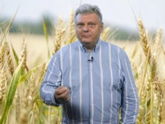 Jakie są pierwsze oznaki słabszego sezonu? – Rynkowy Serwis Spod Lady – 7.11.25 r.