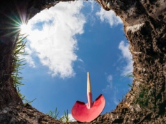 Stopa zwrotu z najmu wygrzebuje się z dołka, ale kawalerki nie mogą się podnieść