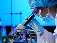 Świecące nanocząstki PersL ułatwią śledzenie drogi leków w organizmie