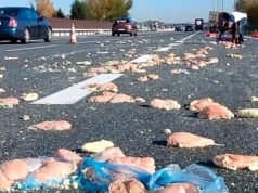 Utrudnienia! Mięso na autostradzie A4