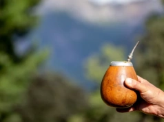 Właściwości yerba mate