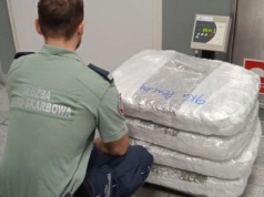 Przyleciała z Bangkoku do Warszawy. Gdy celnicy otworzyli jej walizki, zamarli