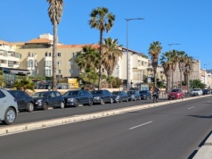 "Są na każdym samochodzie". Francuskie miasto walczy z plagą gryzoni