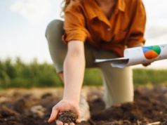 Warzywa na zimę? Sprawdź, co i jak sadzić w listopadzie
