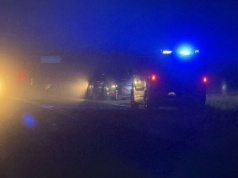 Klecza Dolna. Nocne zderzenie samochodu z sarną – na szczęście nikt nie ucierpiał