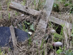 Oczywista Nieoczywistość – Ożywieni