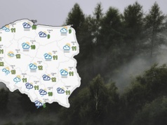 Niemal cała Polska spowita we mgle. Ostrzeżenia dla 15 województw