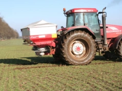 Kiedy stosować saletrę wapniową i w jakich dawkach?