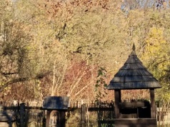 Blaskiem i cieniem malowane część 2