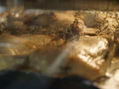 Gęsina na świętego Marcina, ale nie tylko