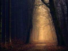 Trzecie Miejsce i dzieło Bożego miłosierdzia, czyli jak Kościół odkrywał czyściec 