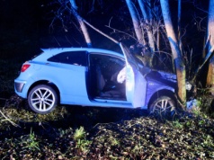 Kierowca seata uderzył w drzewo. Pięć osób trafiło do szpitala