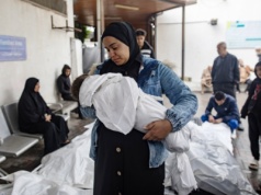 Zachodni Brzeg/ Atak izraelskich osadników na Palestyńczyków zbierających oliwki