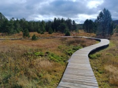 Drewniane pomosty i piękne widoki. To jedyny taki rezerwat w Bieszczadach