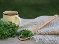 System limfatyczny – czysta limfa – czysta krew