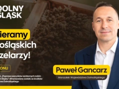 Dolny Śląsk wspiera pszczelarzy – Samorząd przekazuje ciasto pszczele