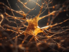 Żadna myśl się nie ukryje. Nowe urządzenie odczytuje je bezpośrednio w mózgu