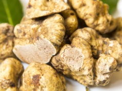 Kilogramowa biała trufla wylicytowana za 110 tys. euro