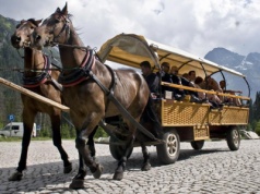 Fiakrzy zamówili badania koni z Morskiego Oka. Pojazd dociążony jest 1650 kg