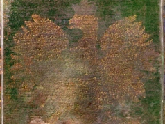 Najbardziej polskie miejsce w Polsce. Leśny orzeł zachwyca turystów