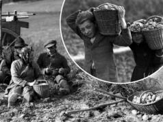 II RP nie dla chłopów