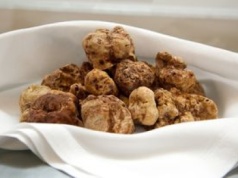 Wyjątkowe grzyby na aukcji. Sprzedano je za pół miliona złotych