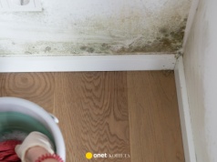 Koniec z pleśnią w mieszkaniu. Oto domowe triki na wilgoć zimą