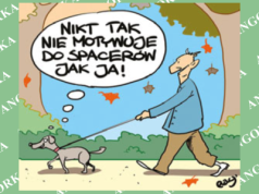 Nie tempo, a rytm. Naukowcy odkryli sekret zdrowego chodzenia