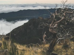 Śmierć 31-letniego Polaka na Maderze. Policja przekazała nowe informacje