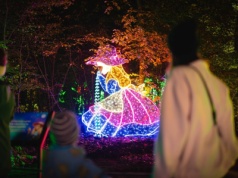 Co otwarte 11 listopada w Lublinie? Lista atrakcji, basenów, muzeów i kin czynnych w Święto Niepodległości